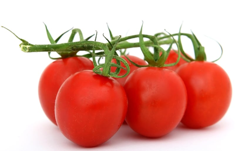 Artificial Lighting for Food Photography